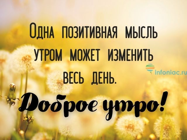 Цитаты о утро 530 цитат 