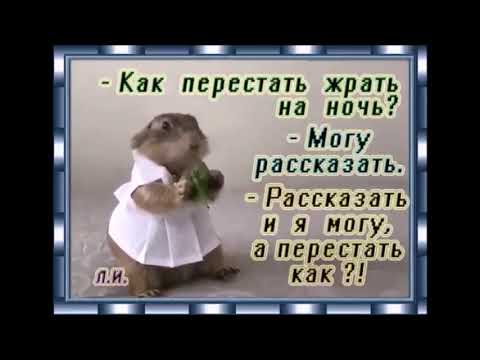 Весёлое Видео ДЛЯ Поднятия Настроения ~Музыкальный Приветик 