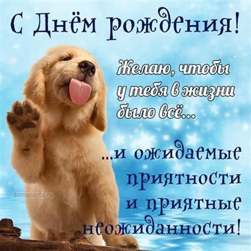 Открытка С Днём Рождения! /Щенок/О/ок 