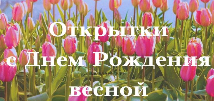 🤗 В чем секрет весеннего настроения? Конечно, в улыбках 