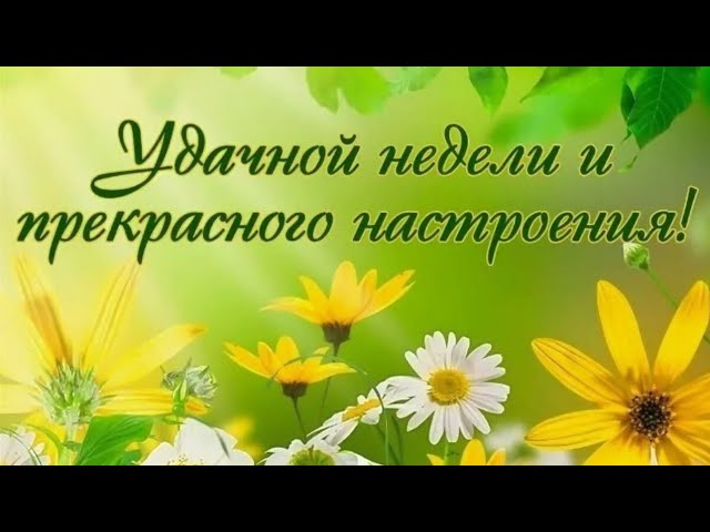 С Началом Рабочей Недели 