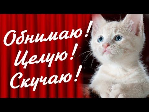 Прикольные картинки Скучаю любимому 