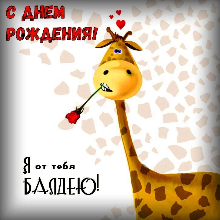 Гифки с днем рождения