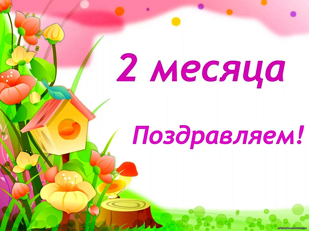 Картинки с 2 месяцами💐 с днем рождения скачать бесплатно