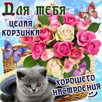 Прикольные картинки Хорошего дня для 