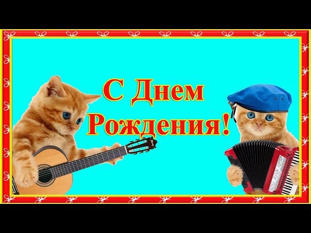 Поздравления для любителей кошек