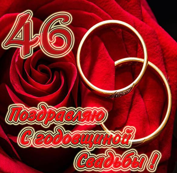 Лавандовая свадьба — 46 совместных 