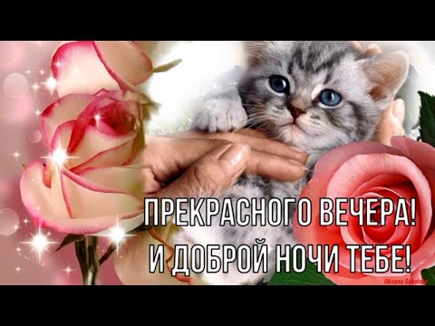 Картинки хорошего вечера 100 открыток