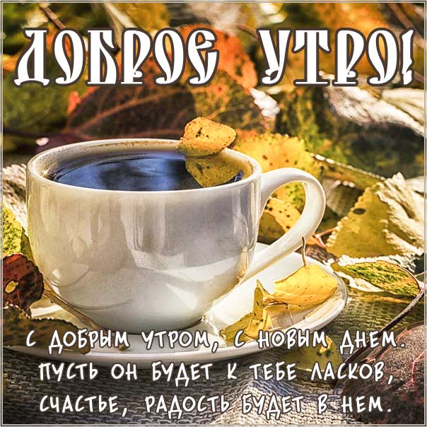 С ДОБРЫМ УТРОМ!!! 