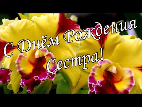 С Днем Рождения сестренка