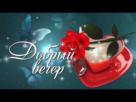 Добрый вечер мама