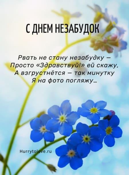 Поделка Незабудки №46016