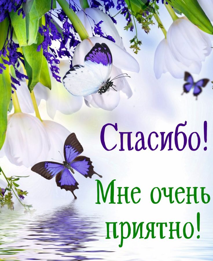 Открытка спасибо за встречу с тобой скачать и отправить бесплатно