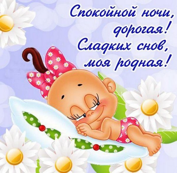 Спокойной ночи, сладких снов🤗💖 