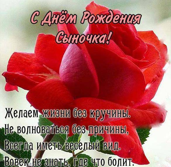 У меня родился сын!