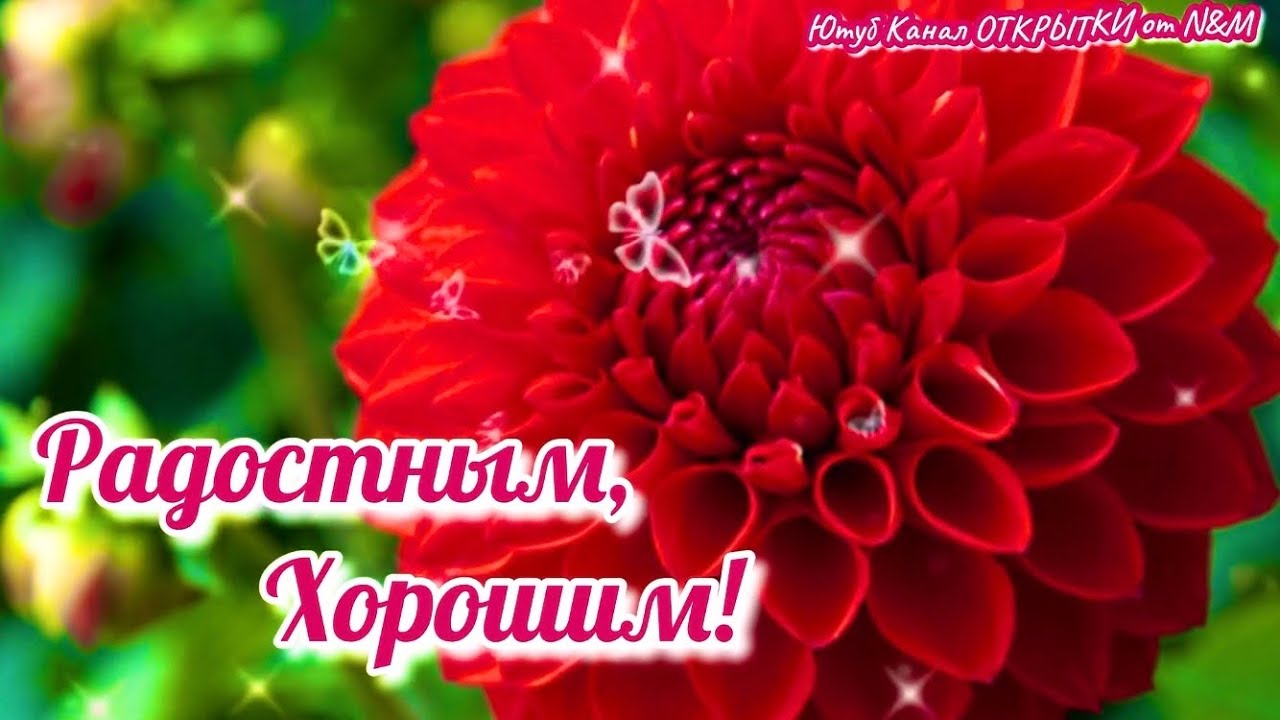 💌☀️😄 Картинки Хорошего дня