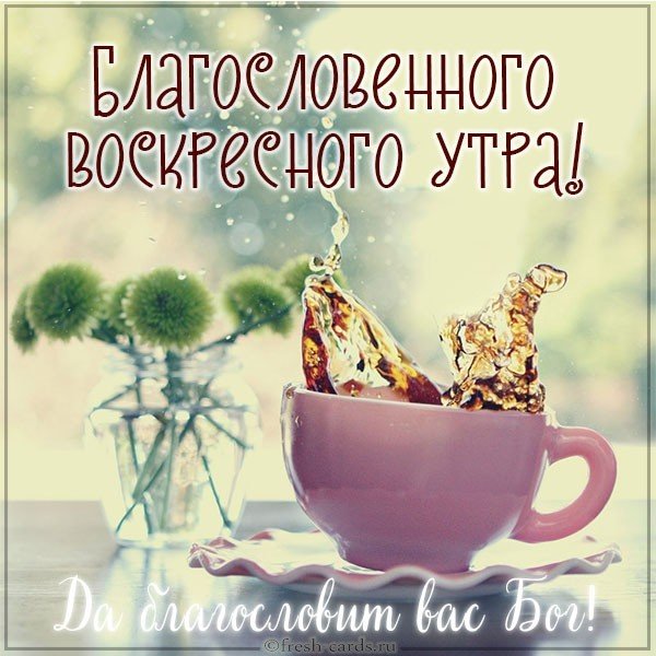 🍂🍁 ДОБРОЕ УТРО, ДРУЗЬЯ! ОТЛИЧНОГО ДНЯ 