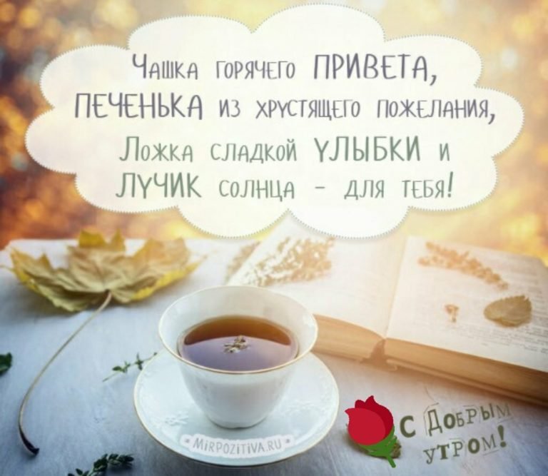 С добрым утром!#добрыепожелания #прекрасногонастроения 