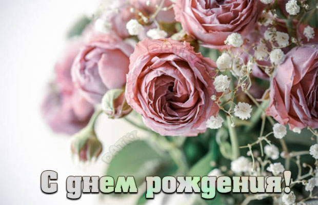 Поздравления с днем рождения для самых 