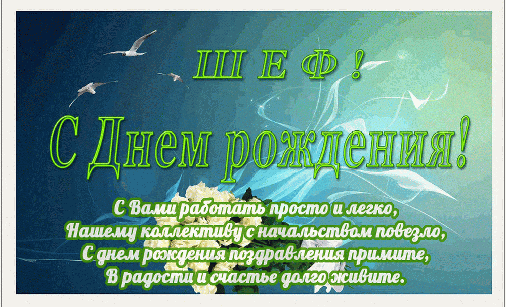 Креативное поздравление с Днем Рождения директора сети отелей 