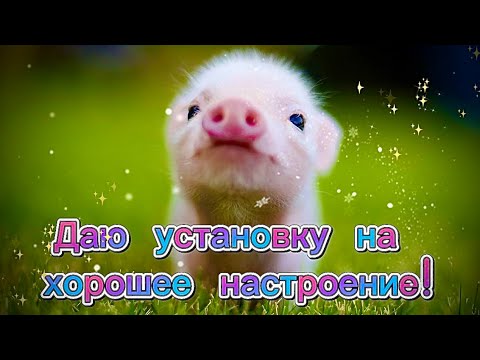 Для позитивного настроения картинки с надписями