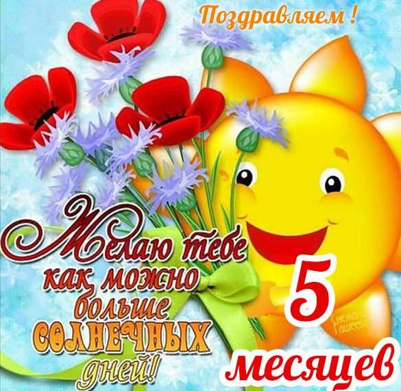 5 месяцев картинки