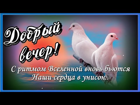 Лучшие пожелания Доброго вечера в стихах и прозе 