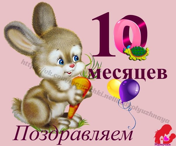 5 месяцев