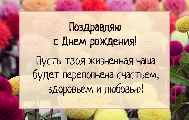 Поздравления с Днем рождения Золовке своими словами в прозе