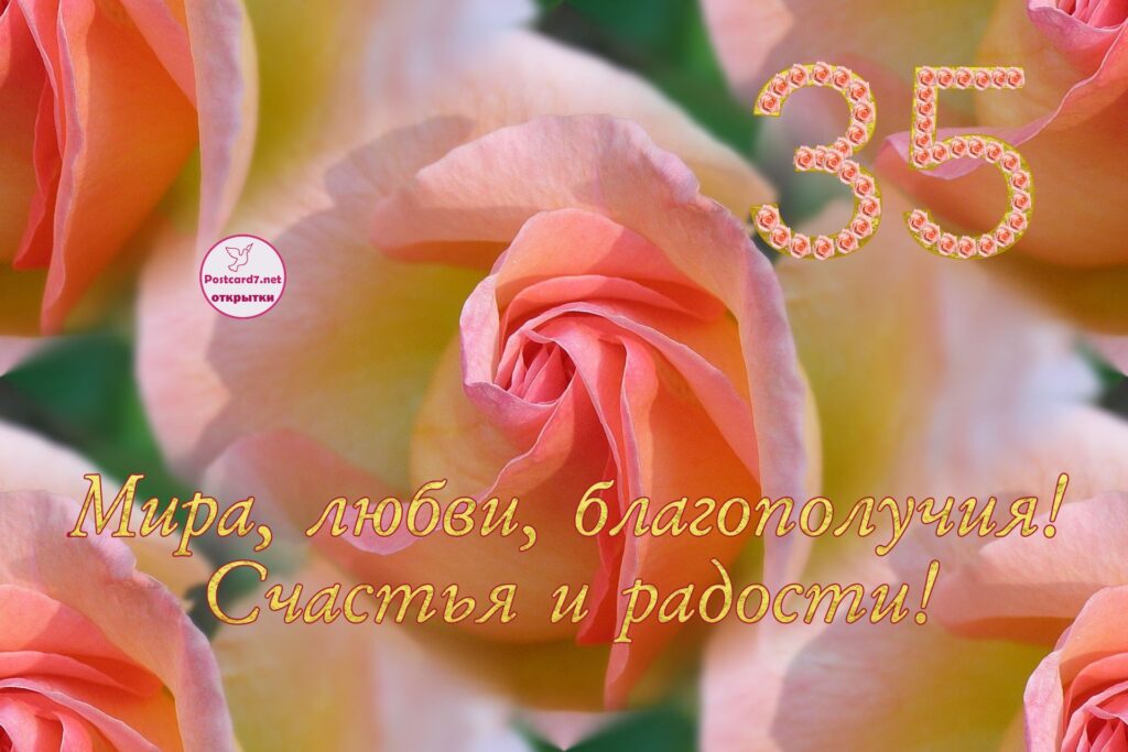 Стихи на день рождения 35 лет