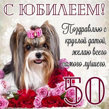 Подарок мужчине 50 лет шарж