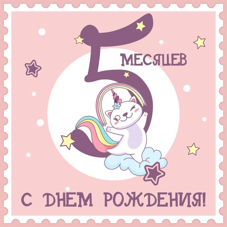 5 месяцев