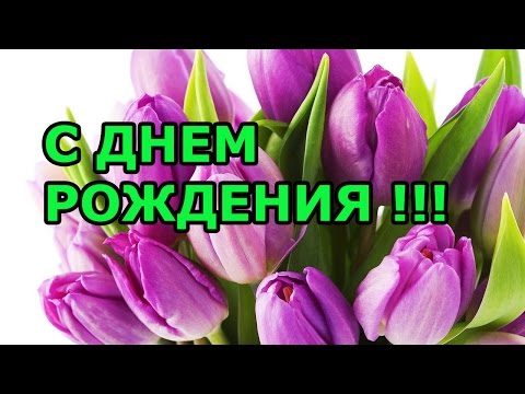 Аниматоры Звёздные войны на день 