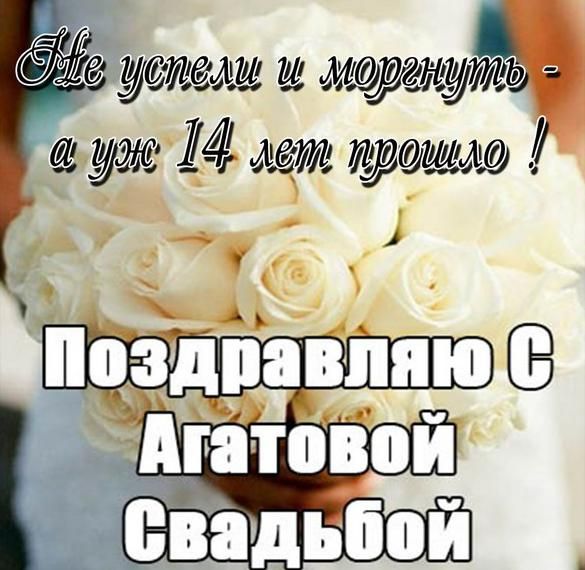 14 лет свадьба поздравления 