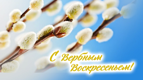 Пожелания в прозе короткие коллеге 37 