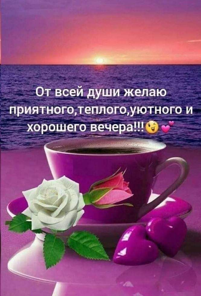 🌹Красивое Пожелание Доброго Вечера 