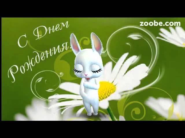 Видео Zoobe Зайка С днем рождения-ия-ия 