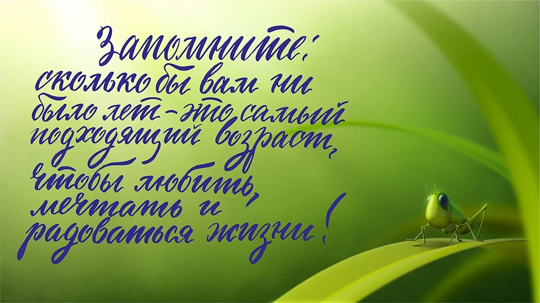 Поздравления с Днем рождения — Смешные поздравления с Днём 