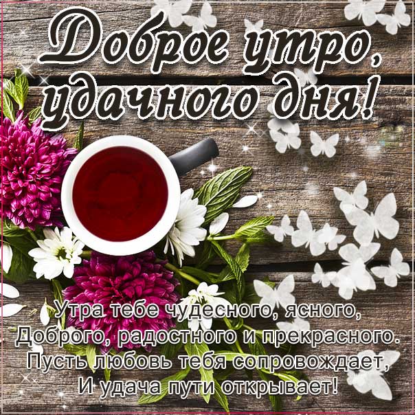 пожелание #открытка #красивоевидео 