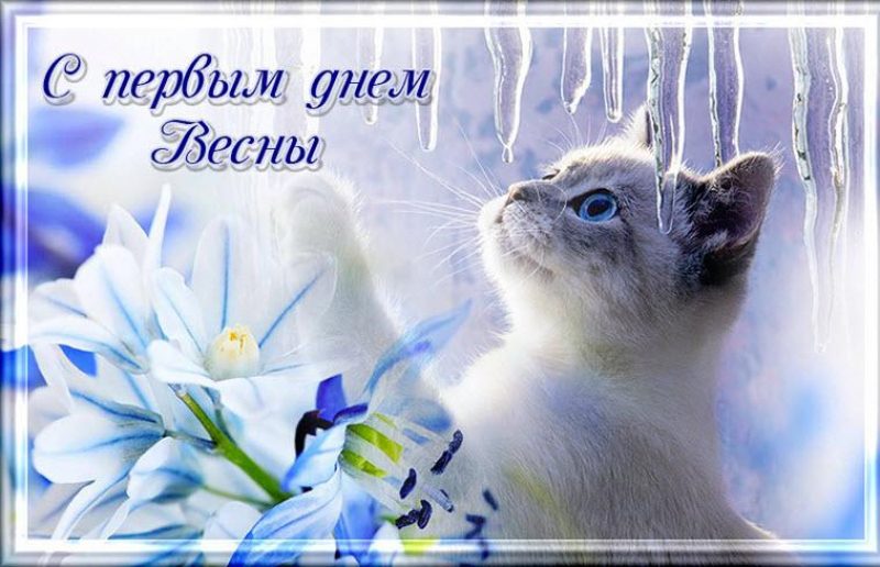 С ПЕРВЫМ ДНЕМ ВЕСНЫ🌷Красивое 