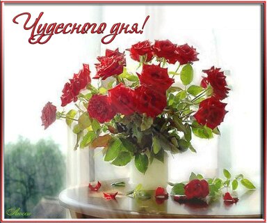 💗 Анимация хорошего дня женщине и 