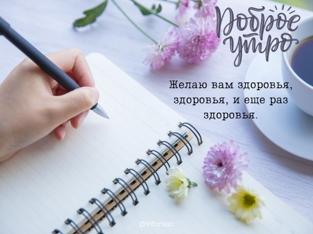 Цитаты про горы, путешествия и дикую 