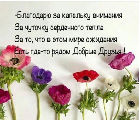 ПОЖЕЛАНИЯ МОИМ ДРУЗЬЯМ! 🦋☀💐🌞🌿☀🦋 ДОБРА 