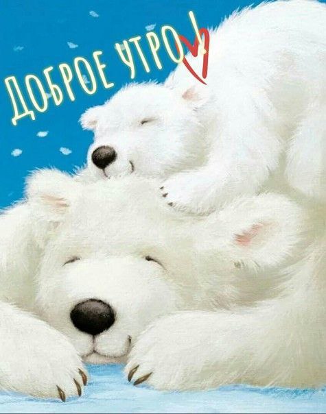 Медвежонок