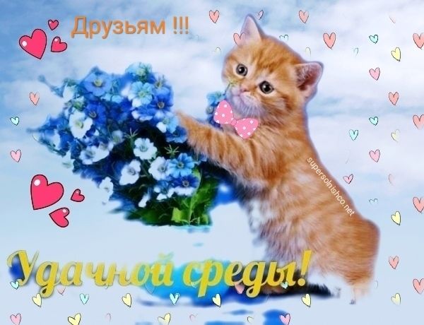 🍁☕🧁Вот уже пришла среда, Это пол недели! Чтобы горе и беда 