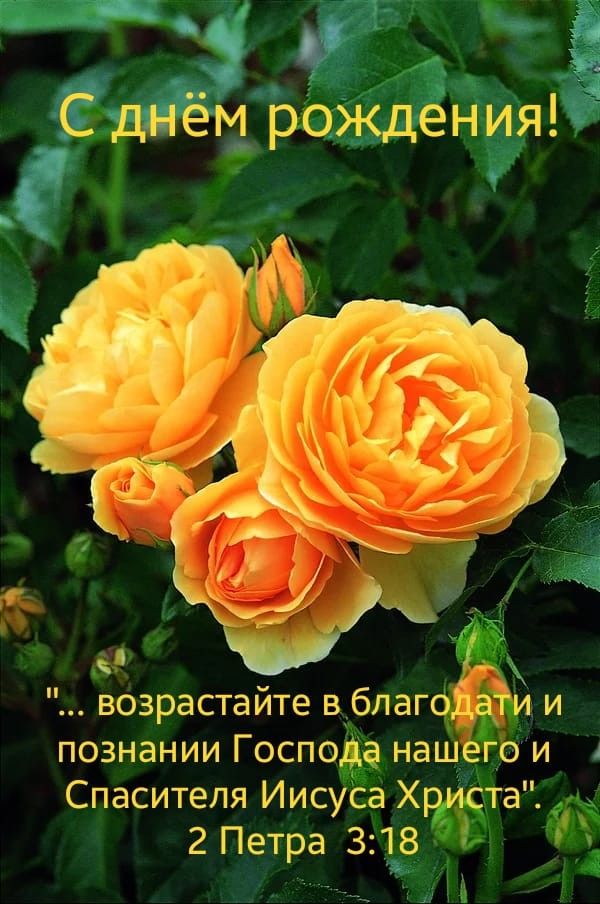 С ДНЁМ РОЖДЕНИЯ, БРАТ ❗💐🙏🎂🕊️