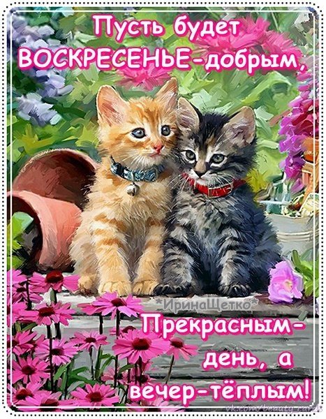 с Воскресеньем