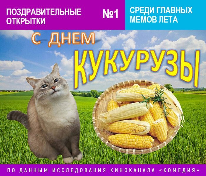 Картинки