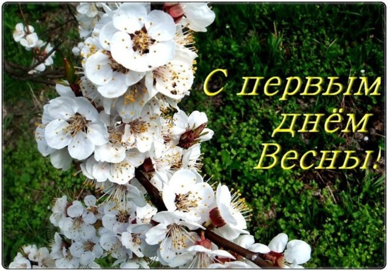 Открытки с первым Днем весны, картинки 