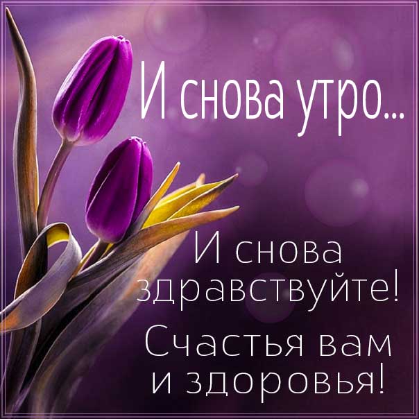 🌸Доброе утро! 🌸Прекрасного всем настроения и позитива 